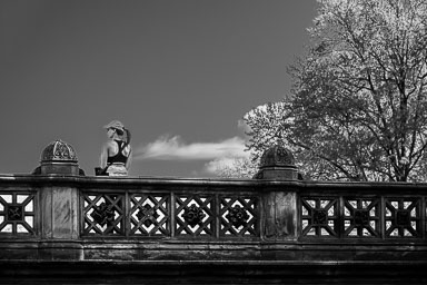20260417_Z8_DSC9496.jpg