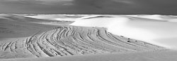 "B&W Sands" - 2008
