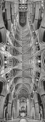 20190213_Z7_DSC1860_1874_Pano_Master-v1_CR_symmetrical_BW_FL_8BIT-FOR-LR-ONLY.jpg